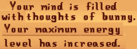 A text from the game Stardew Valley that says "Your mind is filled with thoughts of bunny. Your maximum energy level has increased."